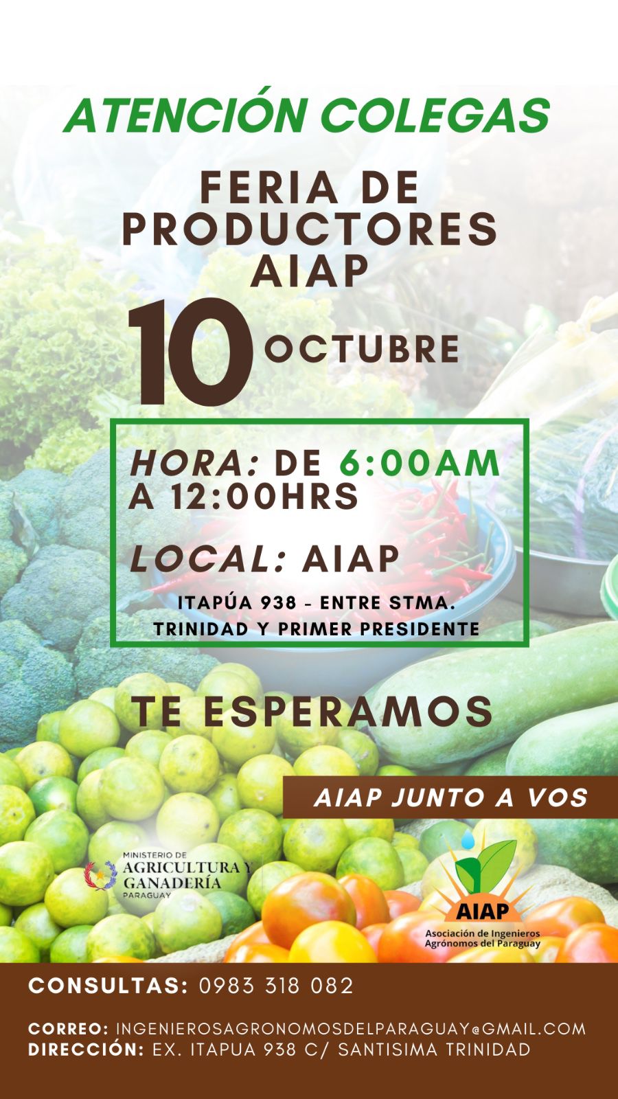 noticias aiap